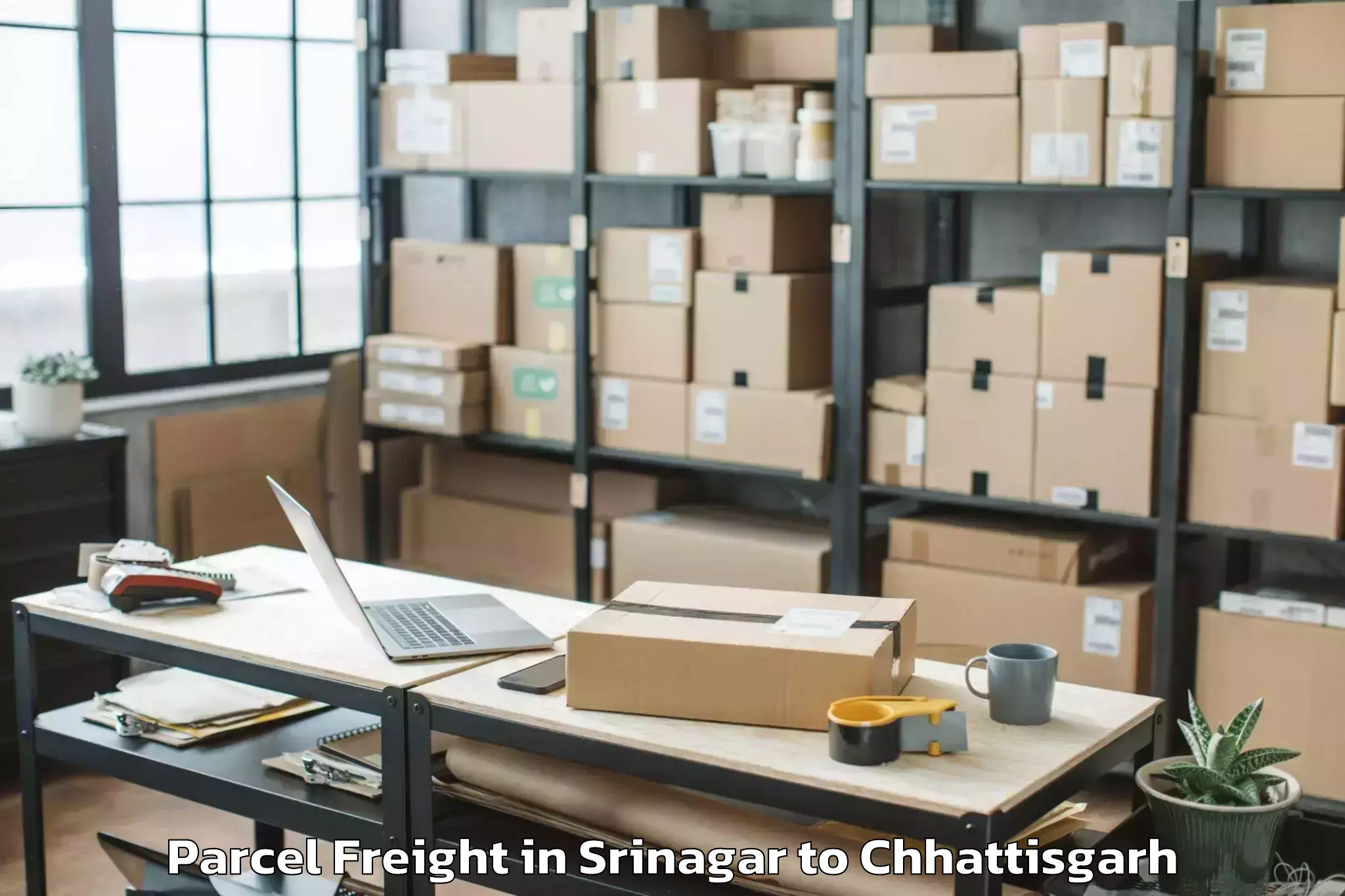 Book Your Srinagar to Bhalai Parcel Freight Today